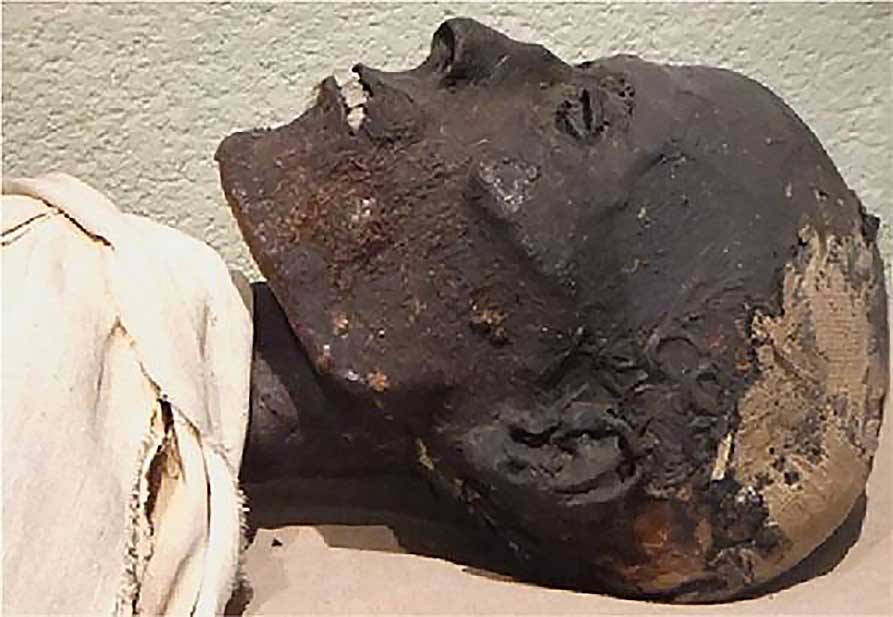 A brown mummy embalmed with bitumen. The ingredient that makes Mummy Brown brown. Credit: Frédérique Vincent, ethnographic conservator.