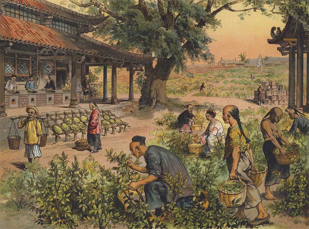 Color lithograph of 19th-century Chinese tea cultivation by Eduard Walther, 1879, from Bilder zum Anschauungsunterricht für die Jugend.