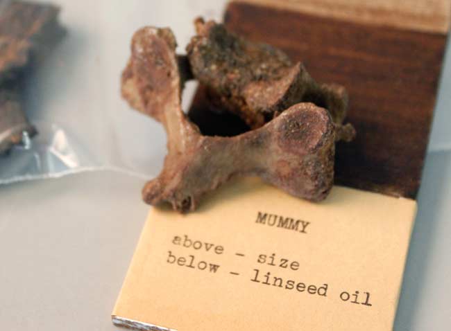 Mummy Brown color sample and mummy vertebrae.