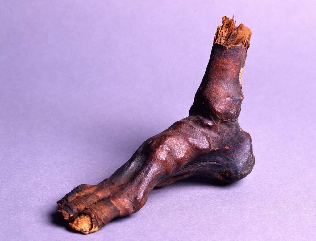 The broken-off foot of an Egyptian mummy. Ready for the Mummy Brown grinder. —Credit: the Museum of Archaeology, Egyptian Museum, Florence, Italy.