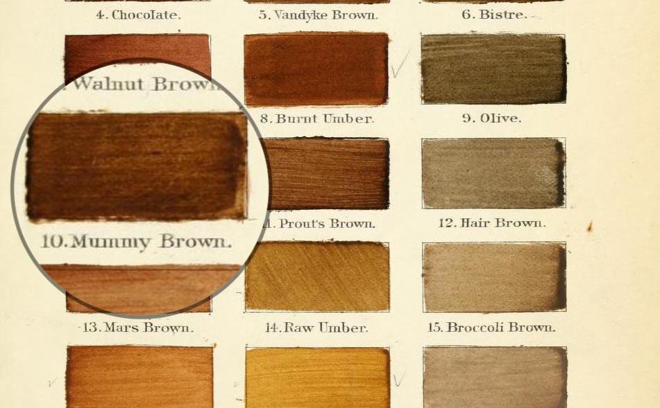 Mummy Brown, as it appears in an excerpt from A Nomenclature of Colors for Naturalists and Compendium of Useful Knowledge for Ornithologists, 1886.